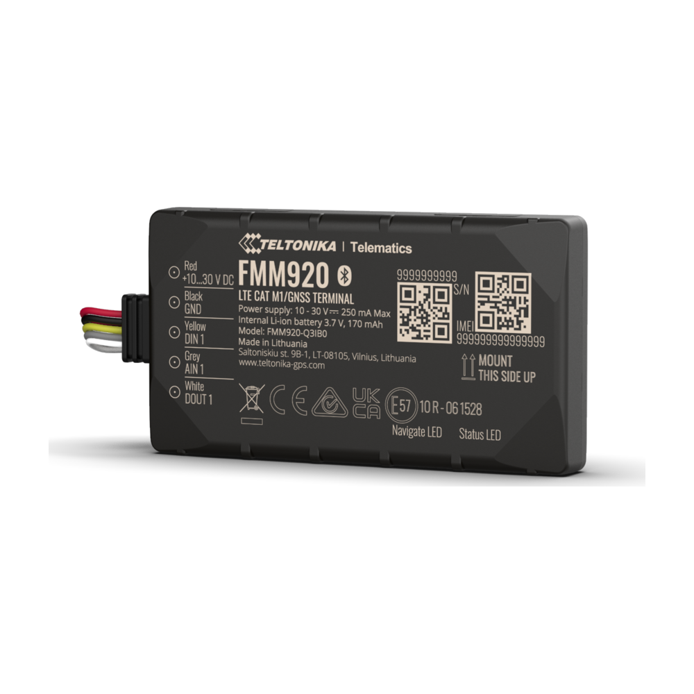 Teltonika FMM920